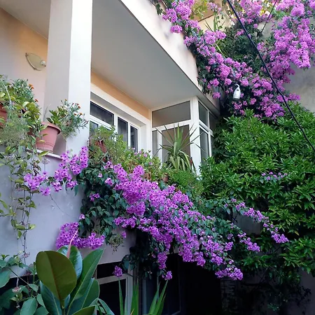 Lejlighed Bougainville Place Tirana